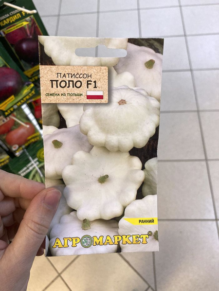 патиссон Поло F1